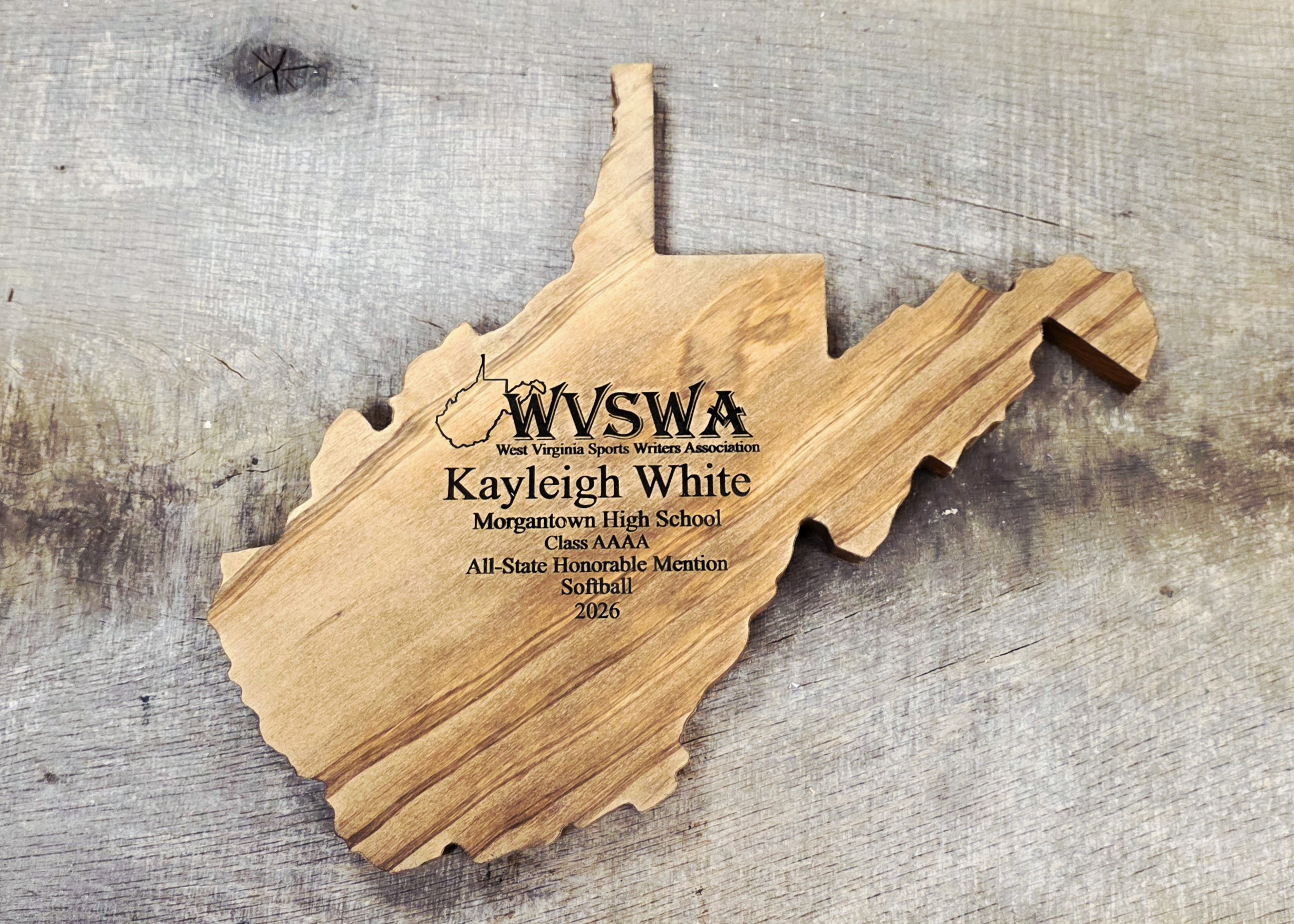 WVSWA Plaque - Image 2