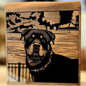 Photo Display